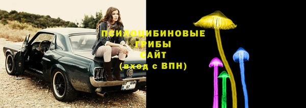 mdpv Богородицк