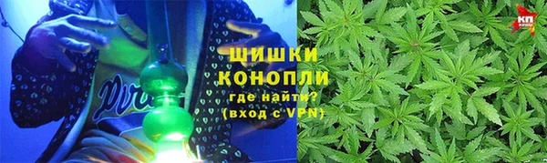mdpv Богородицк