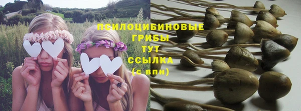 гашишное масло Богданович