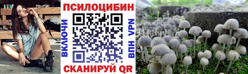 Псилоцибиновые грибы мухоморы  купить наркотик  Михайлов 
